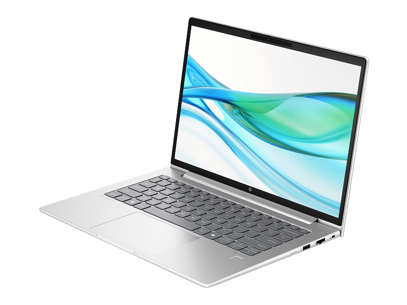 HP ProBook 440 14 inch G11 Notebook PC