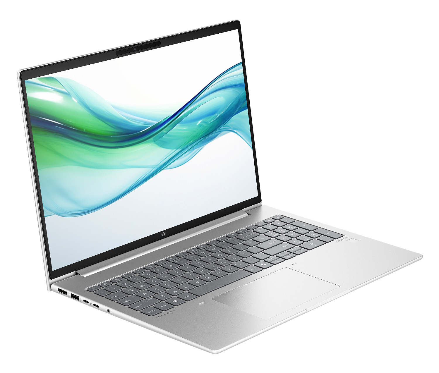 HP ProBook 460 16 inch G11 Notebook PC