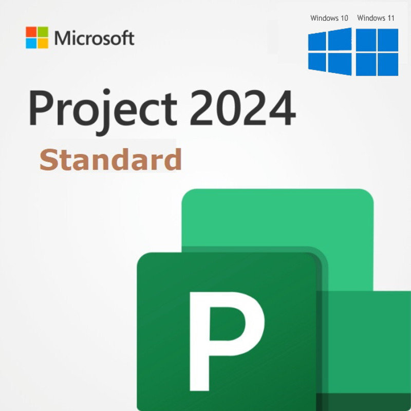 Microsoft Project Standard 2024 -1 license